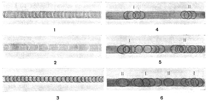 fig2